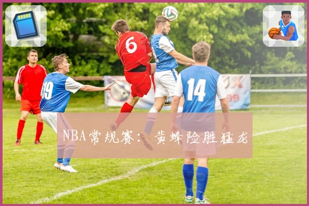 NBA常规赛：黄蜂险胜猛龙