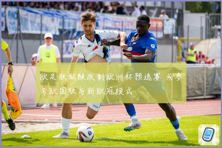 欧足联酝酿改制欧洲杯预选赛 或参考欧国联与新欧冠模式