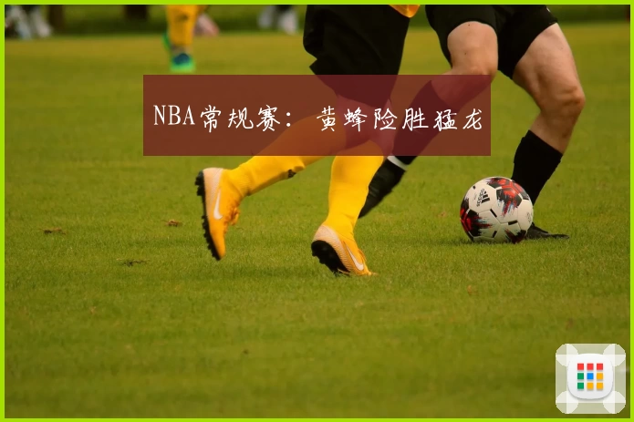 NBA常规赛：黄蜂险胜猛龙