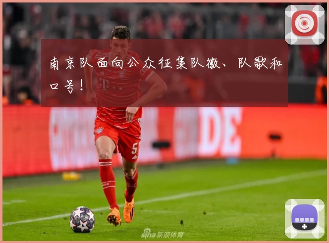 南京队面向公众征集队徽、队歌和口号！