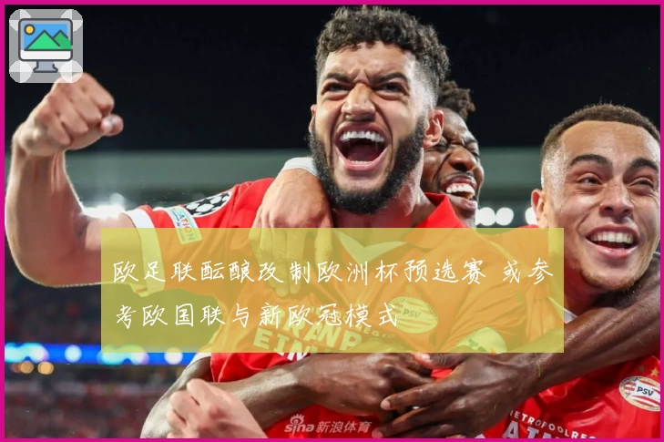 欧足联酝酿改制欧洲杯预选赛 或参考欧国联与新欧冠模式